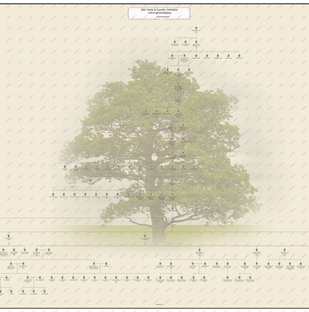 Généalogie Sidi-Yahiaoui & famille Yahiaoui